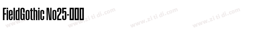FieldGothic No25字体转换